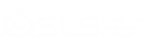 SLS-logo